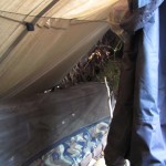 I used my hammock as a bed - the mosquito netting kept any creepy-crawlies out... I used my hammock as a bed - the mosquito netting kept any creepy-crawlies out...