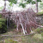 Latticework of thinner branches - these were nearly all from Rhododendron bushes that had been cut down at some point over the preceding two years. Latticework of thinner branches - these were nearly all from Rhododendron bushes that had been cut down at some point over the preceding two years.