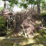 The heather layer - this was woven into the Rhododendron like thatching on a roof. Rain drips down to the floor this way. The heather layer - this was woven into the Rhododendron like thatching on a roof. Rain drips down to the floor this way.