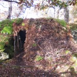 Here you can see two layers in progress - a thick layer of leaves and also an outer covering of moss. The leaves help with water repellency and also increase heat retention. Here you can see two layers in progress - a thick layer of leaves and also an outer covering of moss. The leaves help with water repellency and also increase heat retention.